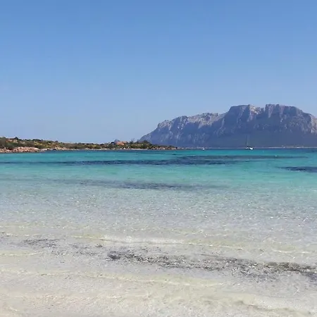 Apartment In Olbia